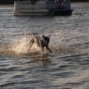 Meet your Posher, Brandon